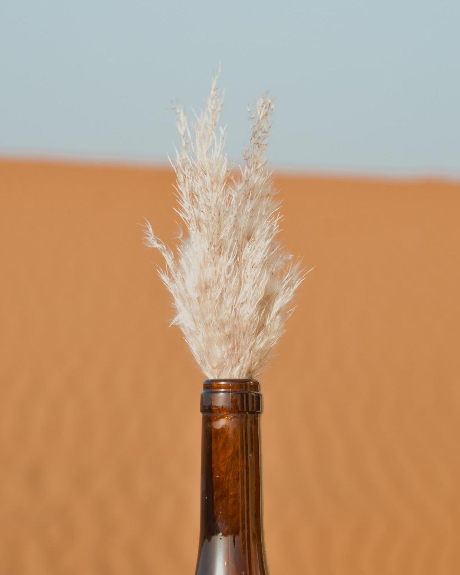 Bohem Camp Merzouga Exterior foto